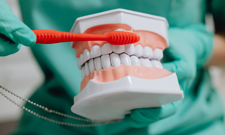Although it often begins silently, with few noticeable symptoms, there are several early warning signs that can help you identify gum disease.